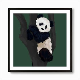 Panda Bear In Tree Art Print