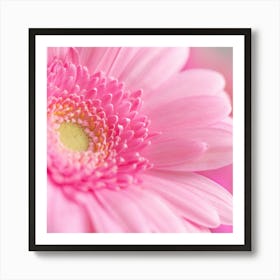 Floral gerbera daisy in pink - square flower nature and travel photography by Christa Stroo Photography Art Print