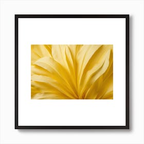 Yellow Dahlia Art Print