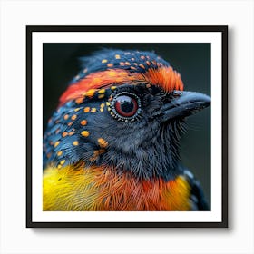 Rizwanakhan Photo Of Close Up Of Colorful Beautiful Bird Niko E692c56c A874 42b6 B259 147836871274 0 Art Print