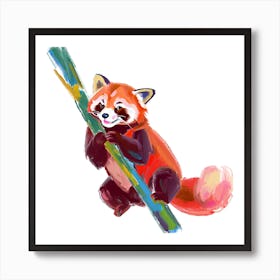 Red Panda 07 Art Print