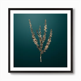 Gold Botanical Tortoise Berry on Dark Teal n.4317 Art Print