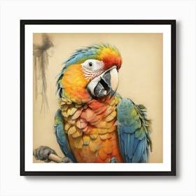 Parrot 38 Art Print
