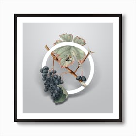Vintage Barbera Grape Minimalist Flower Geometric Circle on Soft Gray n.0245 Art Print