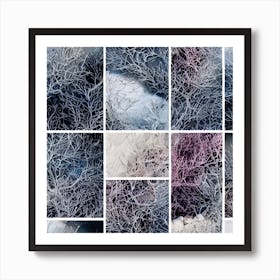 Winter Tree Branches Art Print