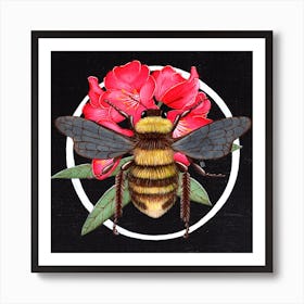 Rhododendron Bee Square Art Print