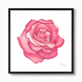 Pink Rose 1 Art Print