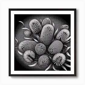 Banksia 1 Art Print