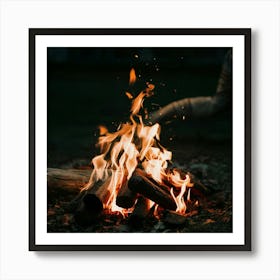 Bonfire Art Print