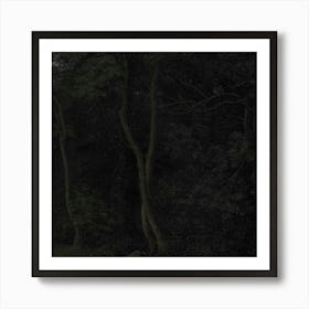 Wolf In The Woods 1 Art Print