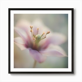 A Close Up Of A Delicate Bird Bud Just Beginning To Bloom, With Soft Petals And Hints Of Vibrant Col (5) Art Print