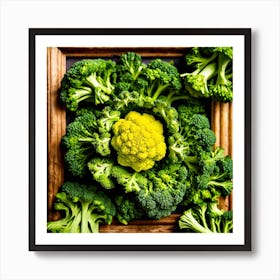 Top View Of Broccoli In A Frame 1 Art Print