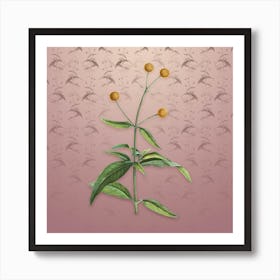 Vintage Orange Ball Tree Botanical on Dusty Pink Pattern n.0736 Art Print