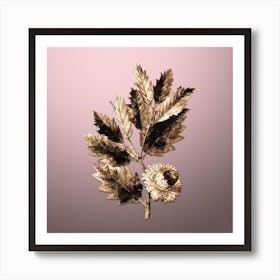 Gold Botanical Valonia Oak on Rose Quartz n.2263 Art Print