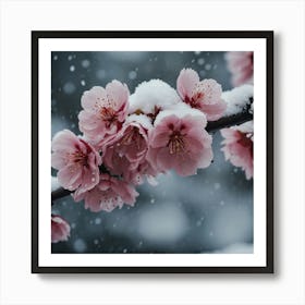 Snowy Cherry Blossoms Art Print