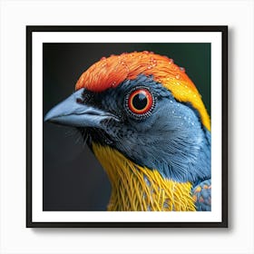 Colorful Bird 10 Art Print