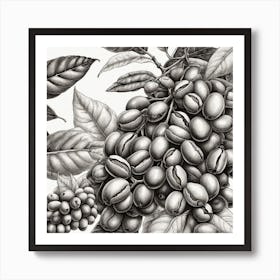 Coffee Beans 205 Art Print