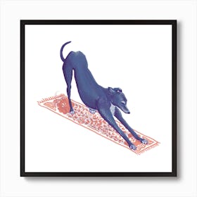 Downward Facing Greyhound Art Print