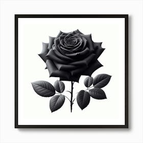 Black Rose 5 Art Print