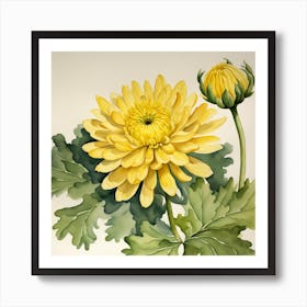 Yellow Chrysanthemum Art Print