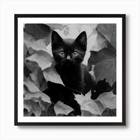 Black and White Black Cat In Leaves 2 Art Print