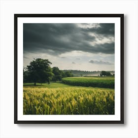 Dark Clouds Over A Wheat Field Art Print