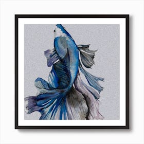 Blue Siamese Catfish Canvas Print Art Print