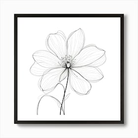 Flower Drawing 1 Art Print