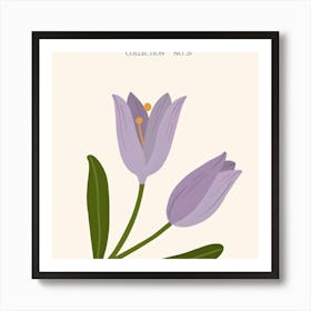 Tulips 3 Art Print