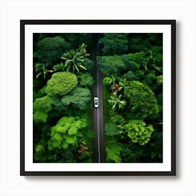 Aerial View Of A Tropical Forest 1 Art Print