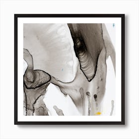Equine Anatomy Art Print