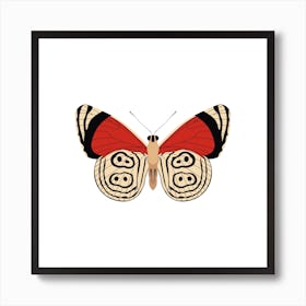 Tiger Moth Square Art Print