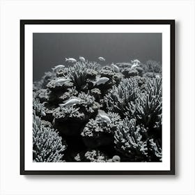 Coral Reef104 Art Print