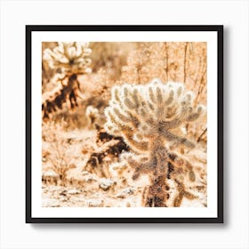 Warm Desert Scenery Square Art Print