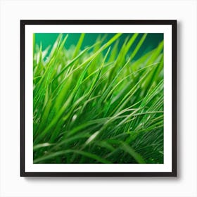 Green Grass 26 Art Print