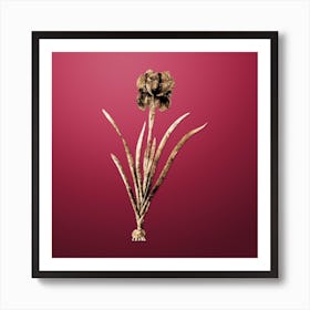 Gold Botanical Mourning Iris on Viva Magenta n.3839 Art Print
