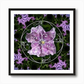 Sacred Geometry Fibonacci Spiral Flowers 4 Poster