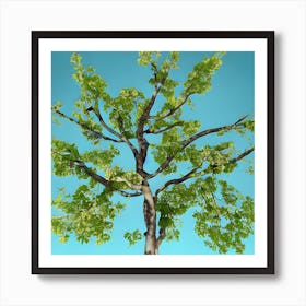 Tree Against A Blue Sky Art Print
