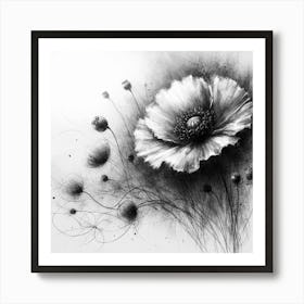 Poppy Art Print