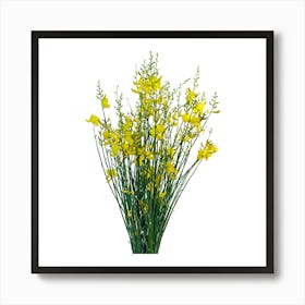 Yellow Flowers 1 Art Print