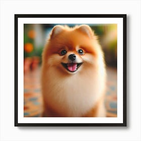 Pomeranian Art Print