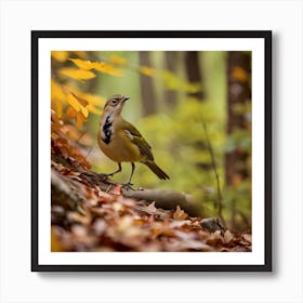 Rufous-Tailed Robin Art Print