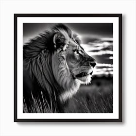 Lion In The Grass 3 Art Print