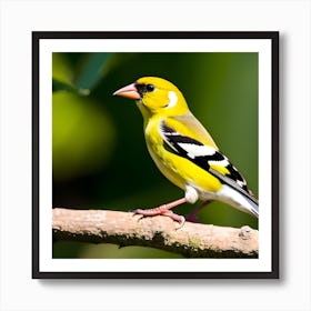 Goldfinch 7 Art Print