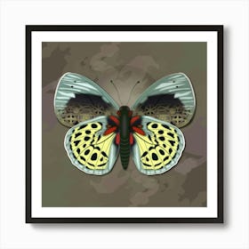 Mechanical Butterfly The Asterope Leprieuri Philotina On A Beige Background Art Print