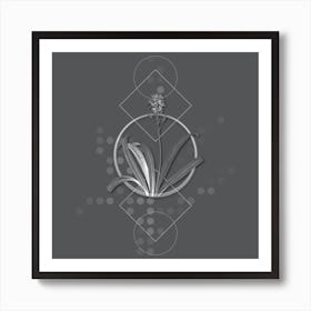 Vintage Spanish Bluebell Botanical with Line Motif and Dot Pattern in Ghost Gray n.0091 Art Print