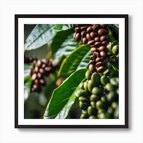 Coffee Beans On The Tree 3 Art Print