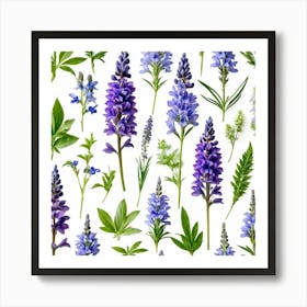 Nature Pattern Isolate White Arrangement Purple Flat Floral Blue Natural Herbal Medicine (8) Art Print