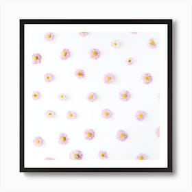 Pink Daisies On White Background Art Print