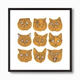 Orange Cat Faces Square Art Print